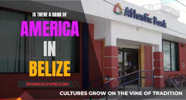 Bank of America's Presence in Belize: Unveiling the Mystery