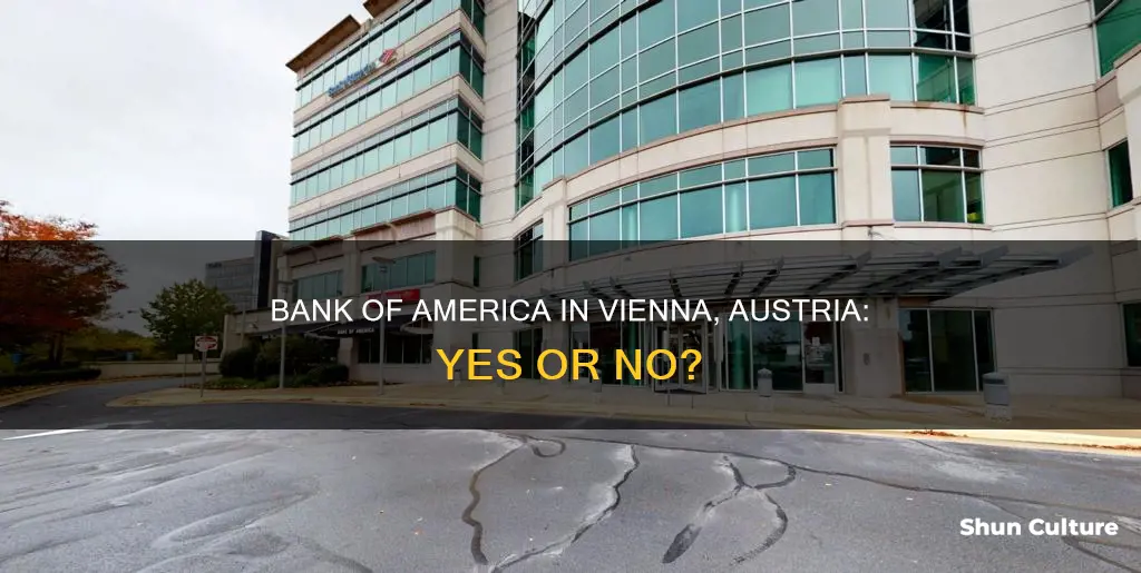 is there a bank of america in vienna austria