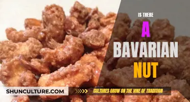 The Bavarian Nut: A Tasty Treat or Myth?