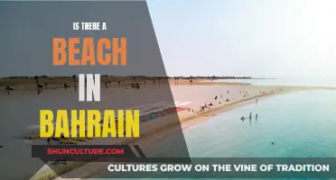 Exploring Bahrain's Coastal Beauty: Are There Sandy Beaches?