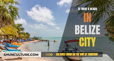 Belize City's Beachside Charm