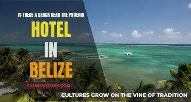 Beachside Bliss: Exploring the Shores Near the Phoenix Hotel in Belize