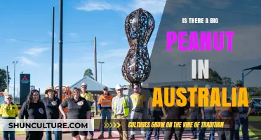 Peanut Paradise: Australia's Giant Nut Wonder