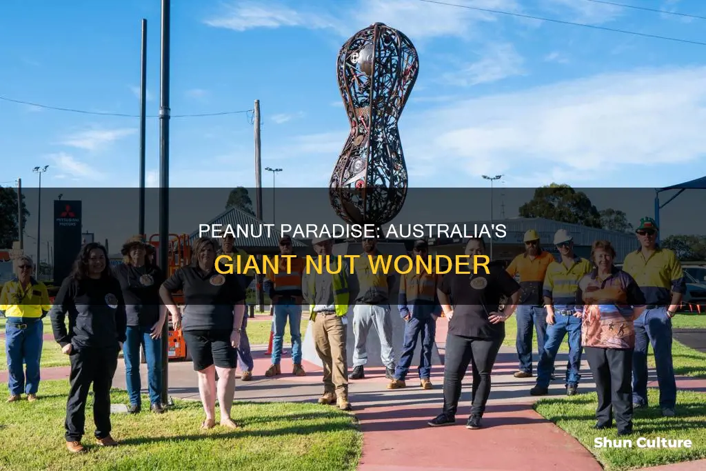 is there a big peanut in australia