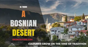 Exploring Bosnia's Landscape: Uncovering the Truth About a Bosnian Desert