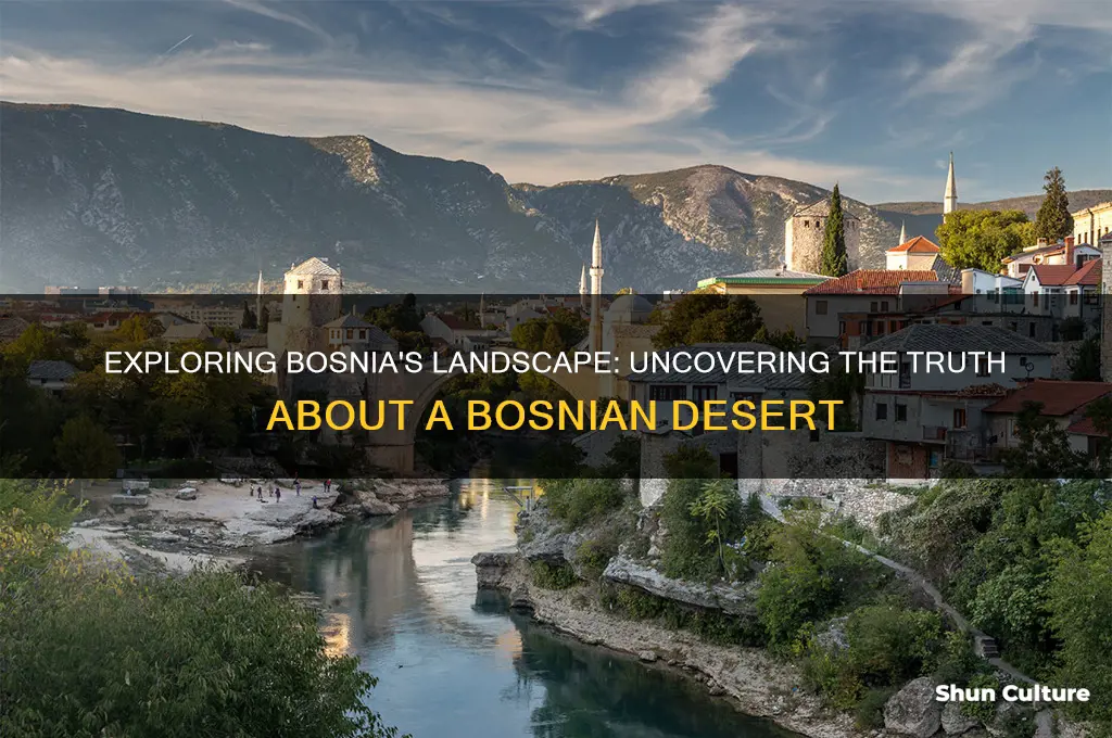 is there a bosnian desert