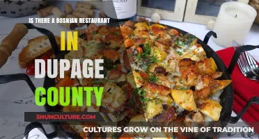 Discovering Bosnian Cuisine: Exploring DuPage County's Hidden Gems