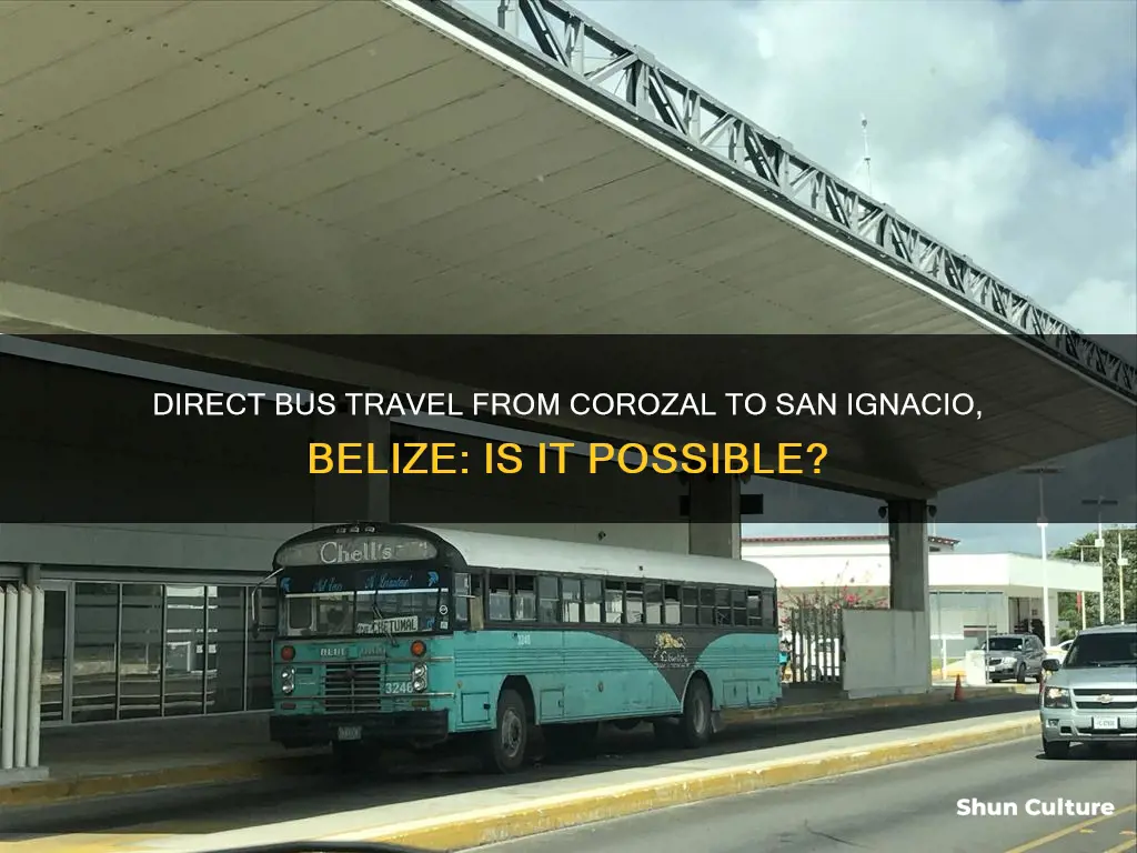 is there a bus from corozal to san ignacio belize