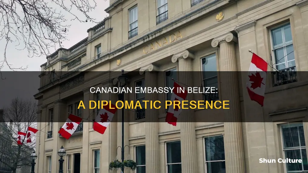 is there a canadian embassy in belize