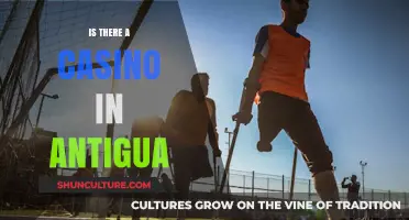 Exploring Antigua's Gambling Scene: Are There Casinos on the Island?
