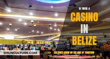 Belize's Casino Question: A Gaming Haven or a Missed Bet?