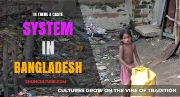 Exploring Bangladesh's Social Hierarchy: Does a Caste System Exist?