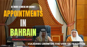 Cabinet Appointments in Bahrain: Who Holds the Power?