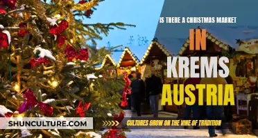 Christmas Cheer: Krems, Austria's Magical Market