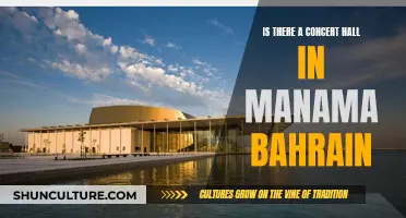 Concert Halls in Manama, Bahrain: Where to Go?