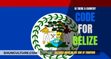 Belize's Unique Country Code: A Deep Dive into the Country's Telecommunications