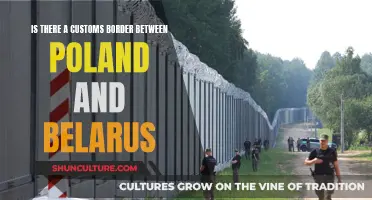 Customs Border Between Poland and Belarus: What's the Situation?