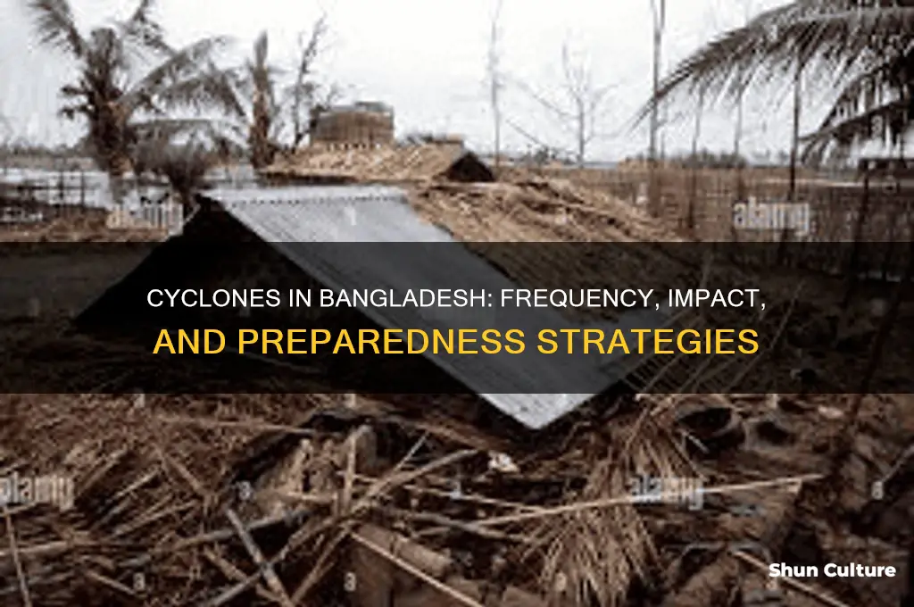is there a cyclones in bangladesh
