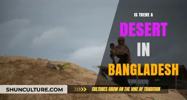 Exploring Bangladesh's Unique Geography: Does a Desert Exist in the Country?