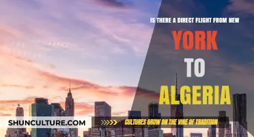 Direct Flights from New York to Algeria: Availability and Options