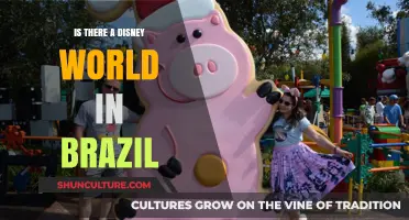 Exploring the Myth: Is There a Disney World in Brazil?