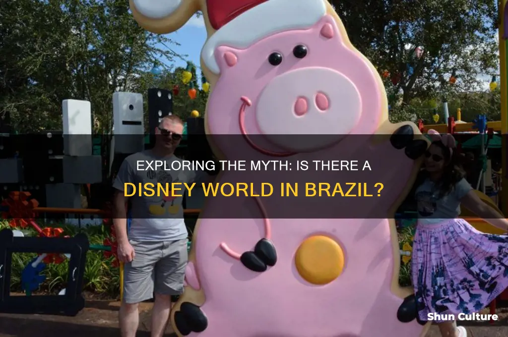 is there a disney world in brazil