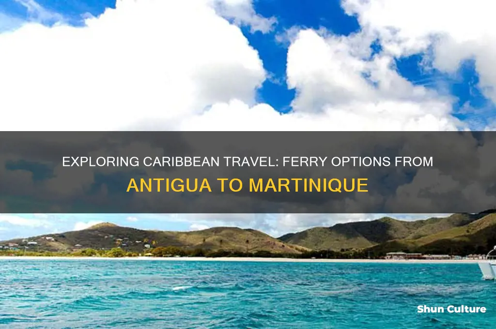 is there a ferry between antigua to martinique