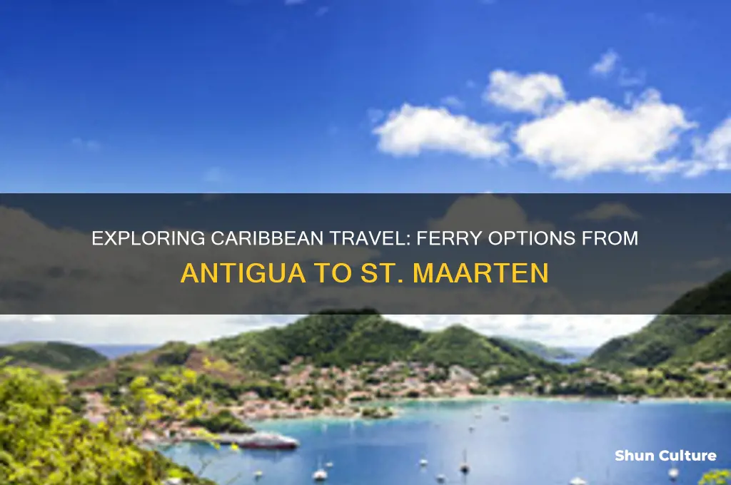 is there a ferry from antigua to st maarten