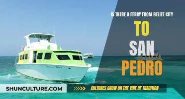 Belize City to San Pedro: Ferry Tales and Travel Tips