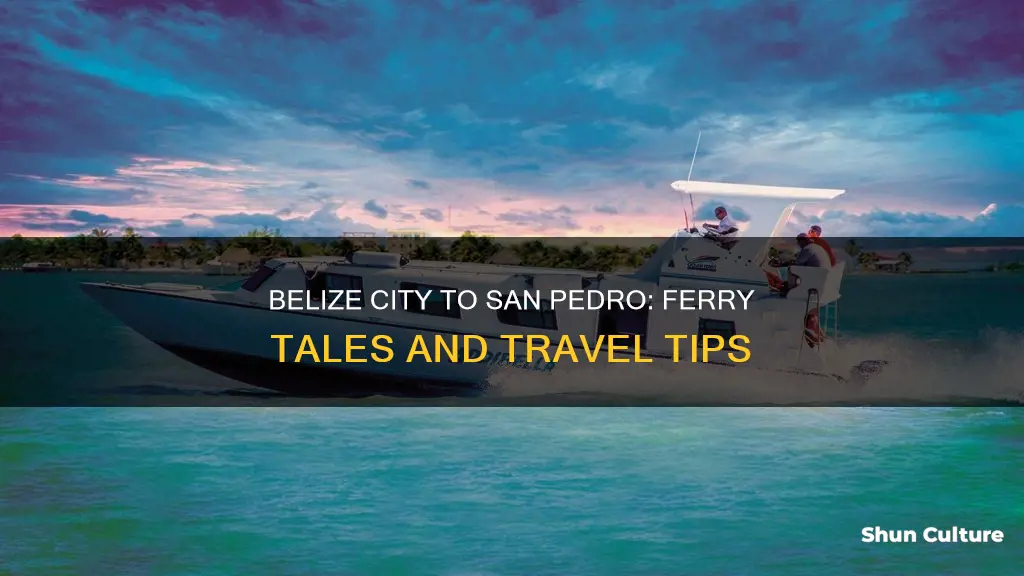 is there a ferry from belize city to san pedro