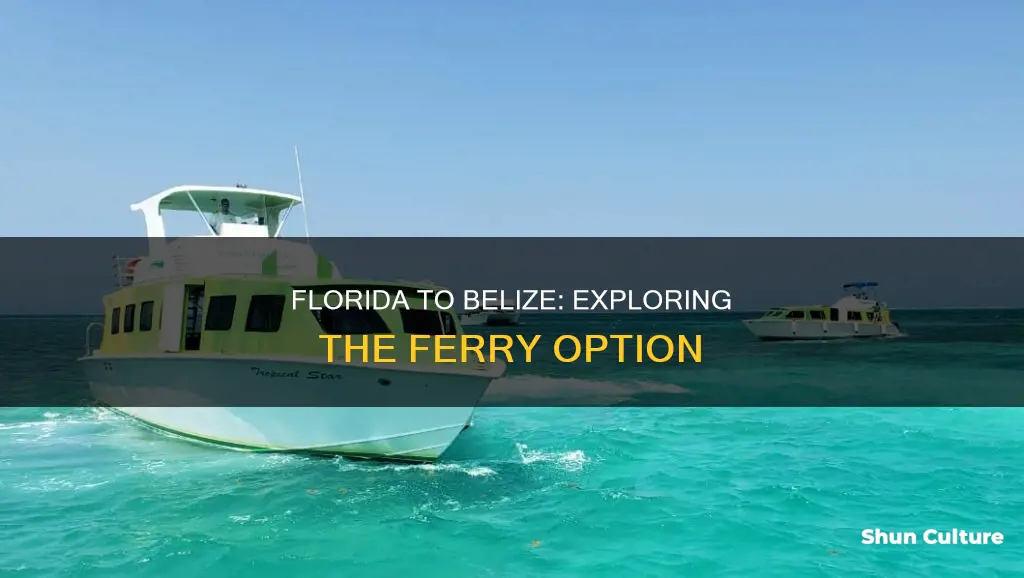 is there a ferry from florida to belize