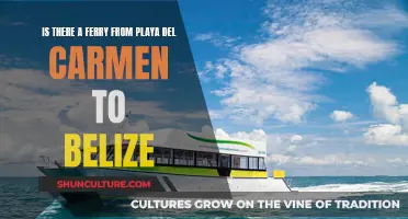 Ferry Service Between Playa del Carmen and Belize: What's the Deal?