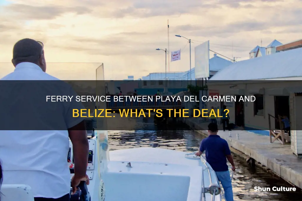 is there a ferry from playa del carmen to belize