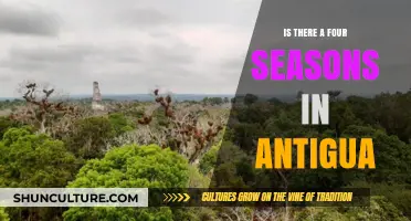 Does Antigua Experience Four Distinct Seasons? A Climate Exploration