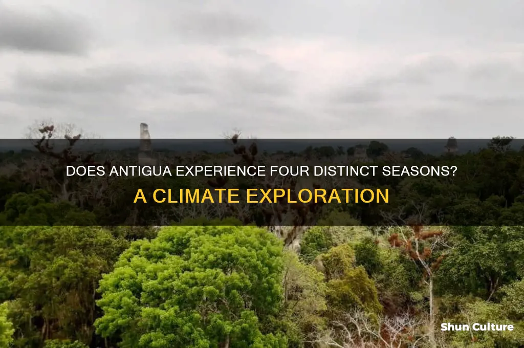 is there a four seasons in antigua