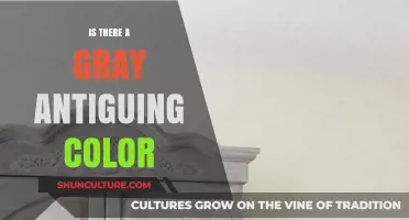 Exploring the Subtle Beauty of Gray Antiquing Color Techniques