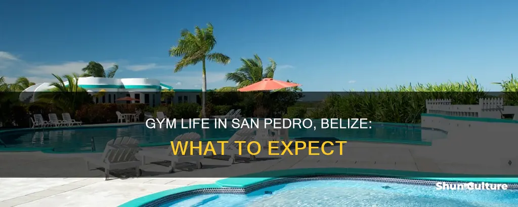 is there a gym in san pedro belize