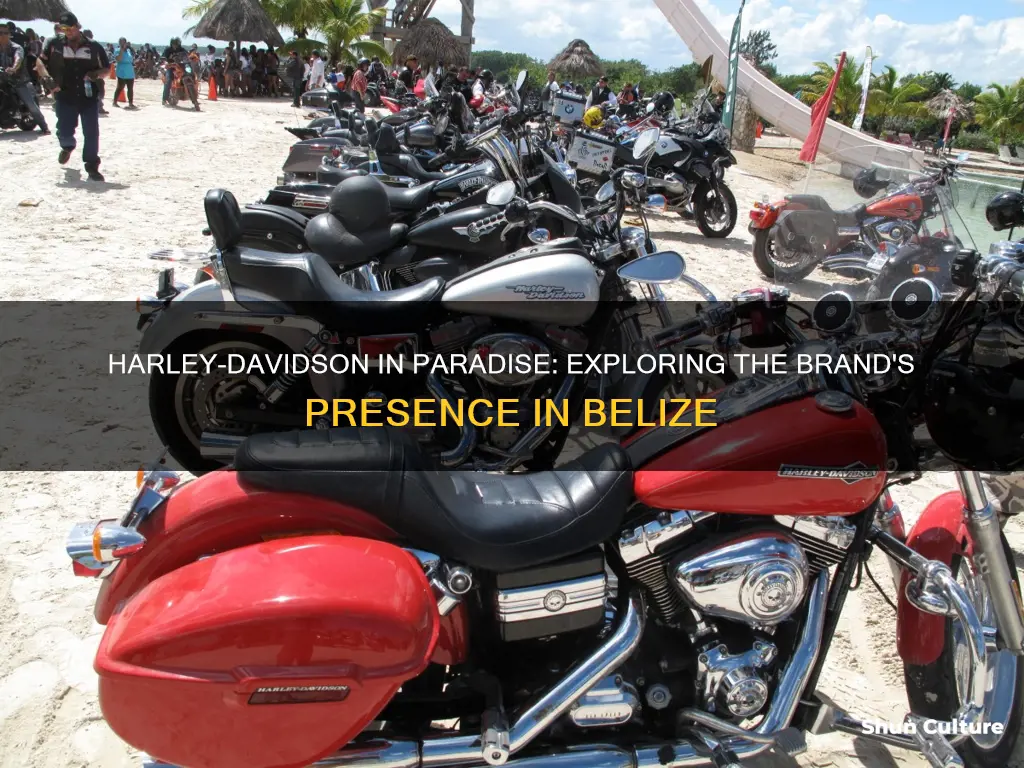 is there a harley davidson store in belize