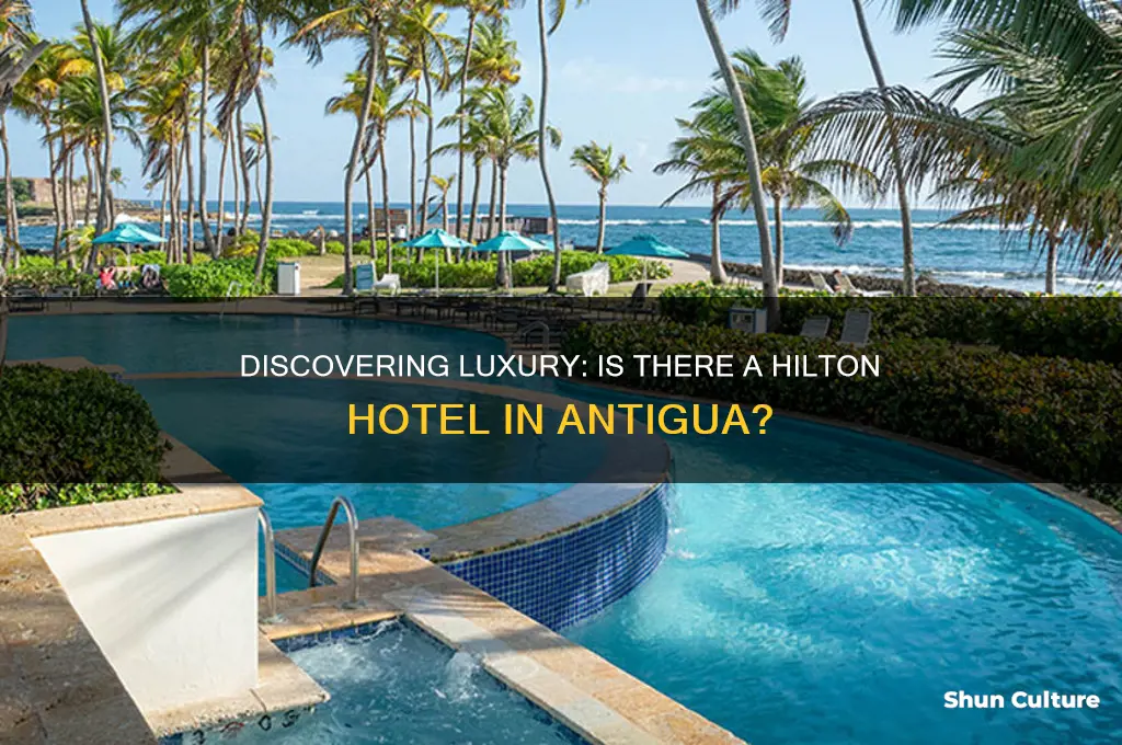 is there a hilton hotel in antigua