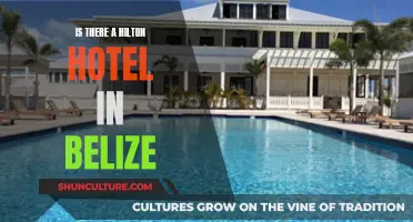 Belize's Missing Hilton Hotel: A Mystery or a Missed Opportunity?