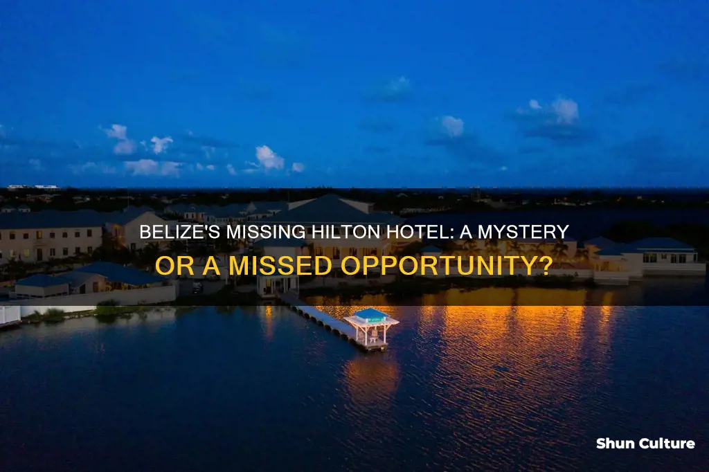 is there a hilton hotel in belize