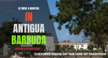 Finding Medical Care: Hospitals in Antigua and Barbuda