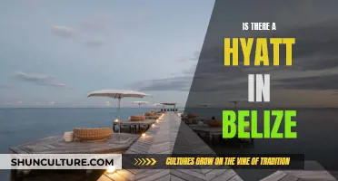 Hyatt Hotels in Belize: An Idyllic Tropical Escape