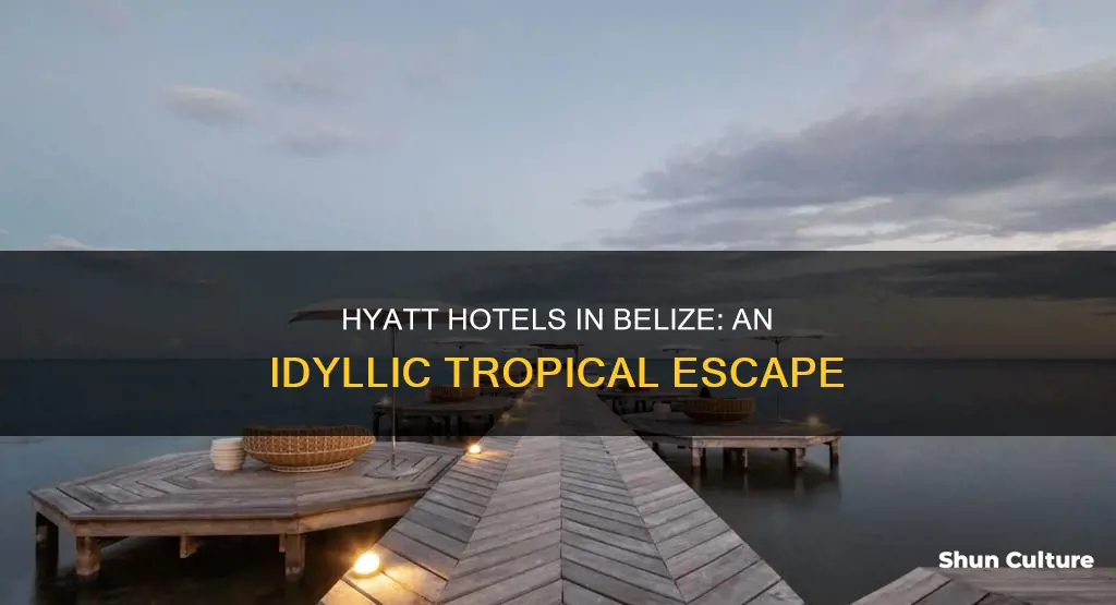 is there a hyatt in belize