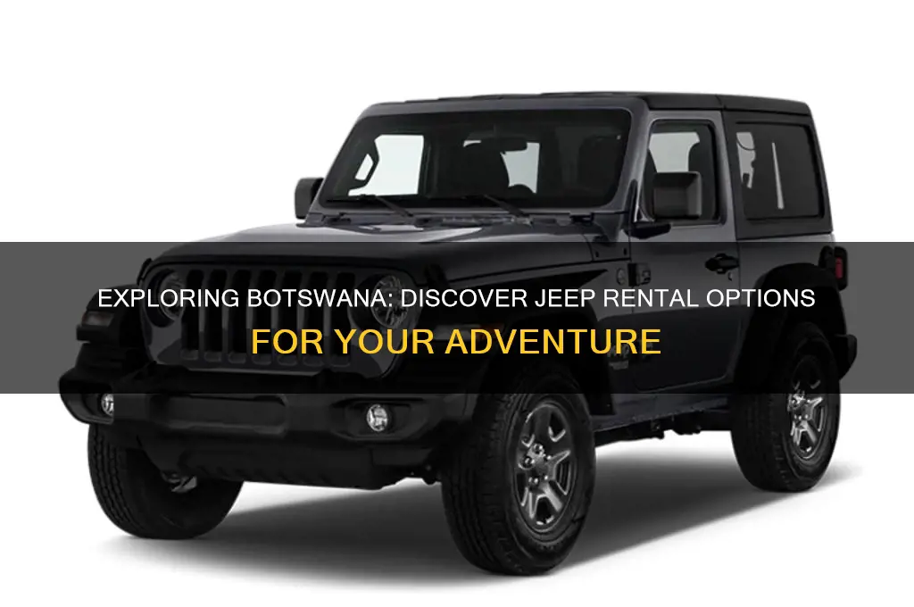 is there a jeep rental in the botswana