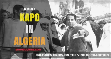 Exploring the Presence of Kapos in Algeria's Historical Context