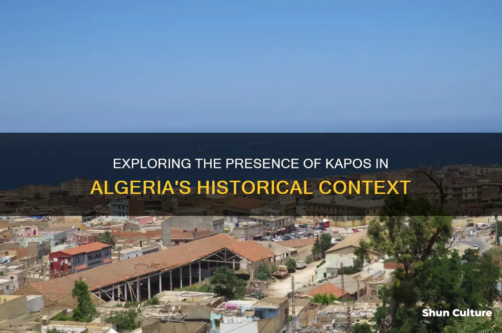 is there a kapo in algeria