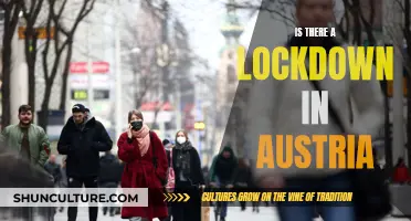 Lockdown in Austria: What You Need to Know