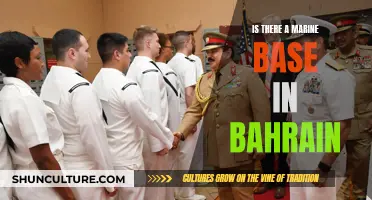 US Naval Presence in Bahrain: A Marine Base?