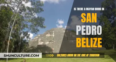 San Pedro's Mayan Mystery: Exploring Ancient Ruins in Belize